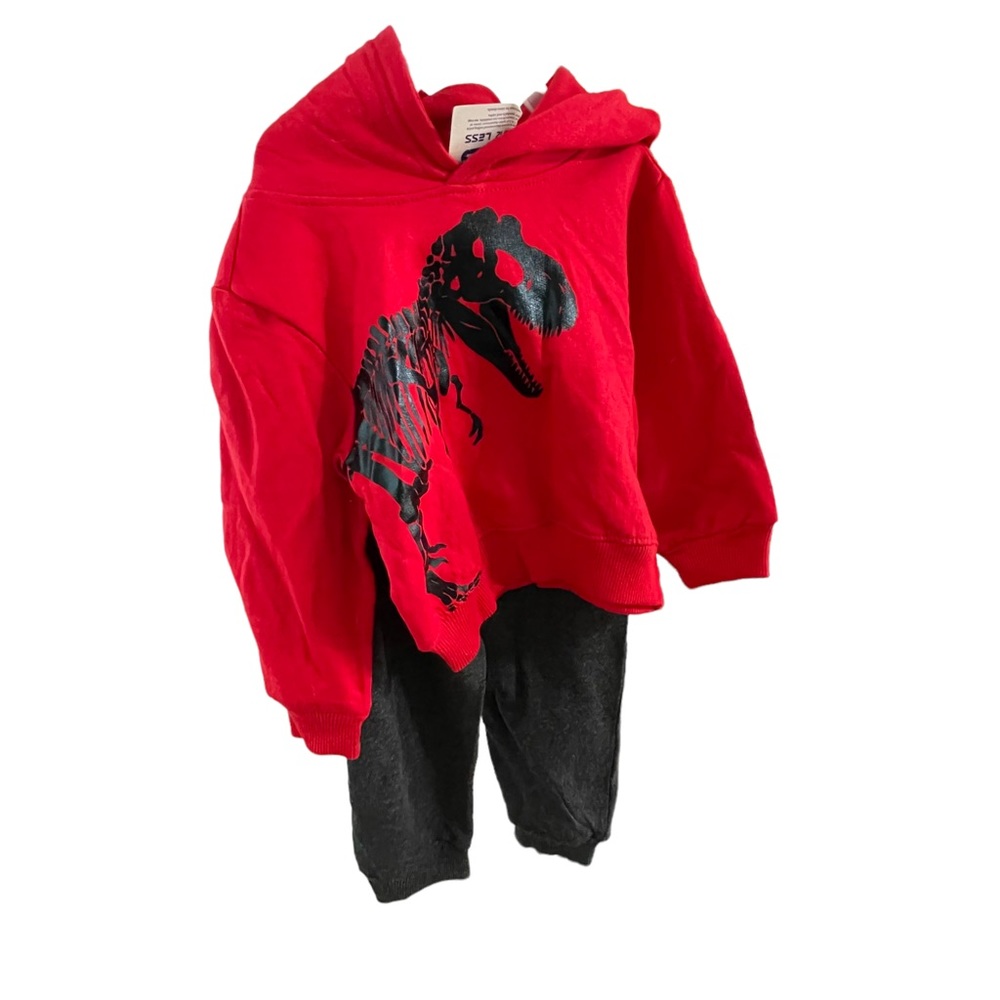 Alex & Jack 2 piece joggers set size 2T